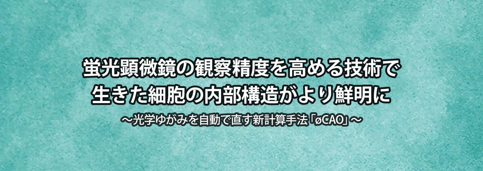 蛍光顕微鏡の観察精度を高める技術で生きた細胞の内部構造がより鮮明に