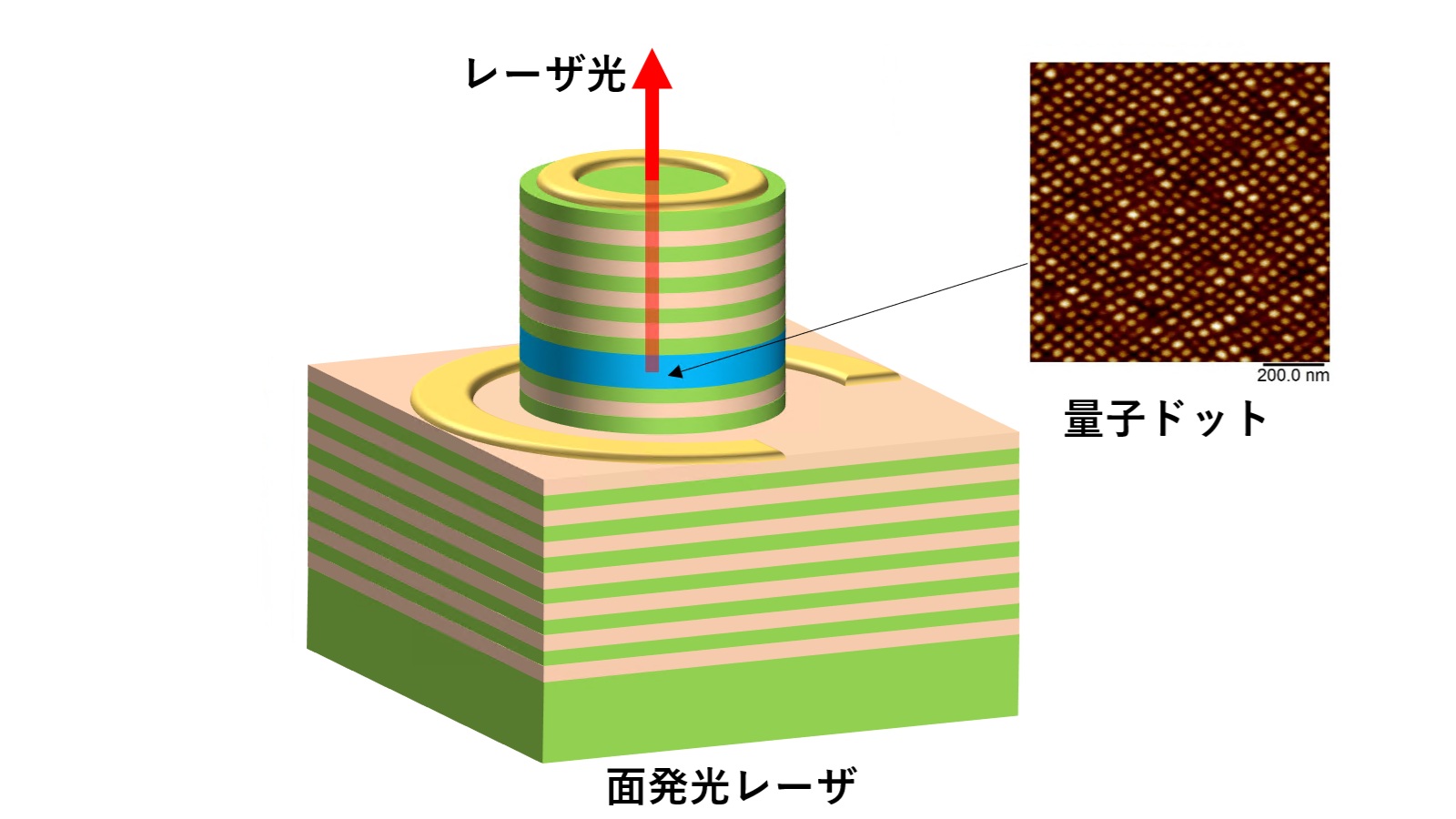 報道発表：世界初、光ファイバ通信向けの実用的な面発光レーザの開発に成功